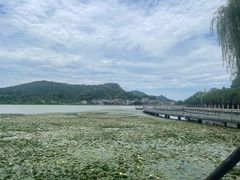 -鸣鹤古镇