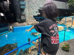 -泉城欧乐堡海洋极地世界