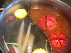 -手选潮汕鲜活牛肉火锅(二七广场店)