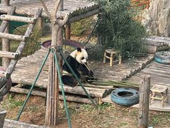 -大连森林动物园