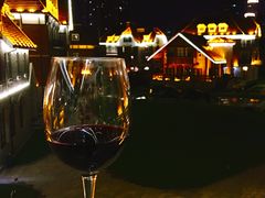 -天津津利华酒店