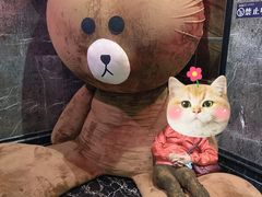 -欢乐迪KTV(南坪上海城店)
