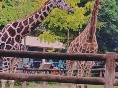 -深圳野生动物园宠物医院(西湖林语店)