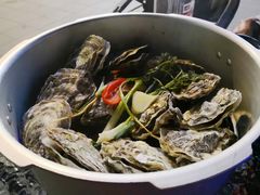 -千岛蚝高压锅生蚝·人参火锅(白云万达店)