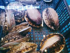 -新海渔港·胶东海鲜家常菜·家宴(奥体中心店)