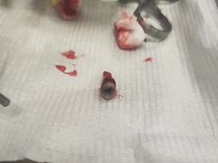 -上海市徐汇区口腔医院