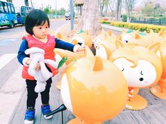 -上海长兴岛郊野公园