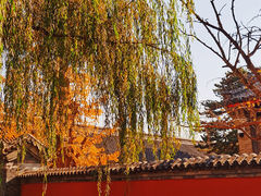 -承恩寺