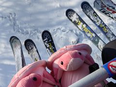 -亚布力新体委滑雪场