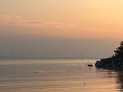 -深圳湾公园(南山区)