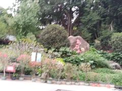 -乌山风景区