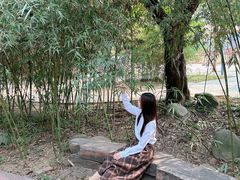 -揭东万竹园旅游景区