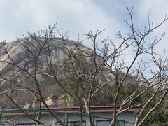 -北京凤凰岭
