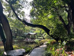 -九龙公园