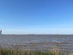 -吴淞炮台湾湿地森林公园烧烤区