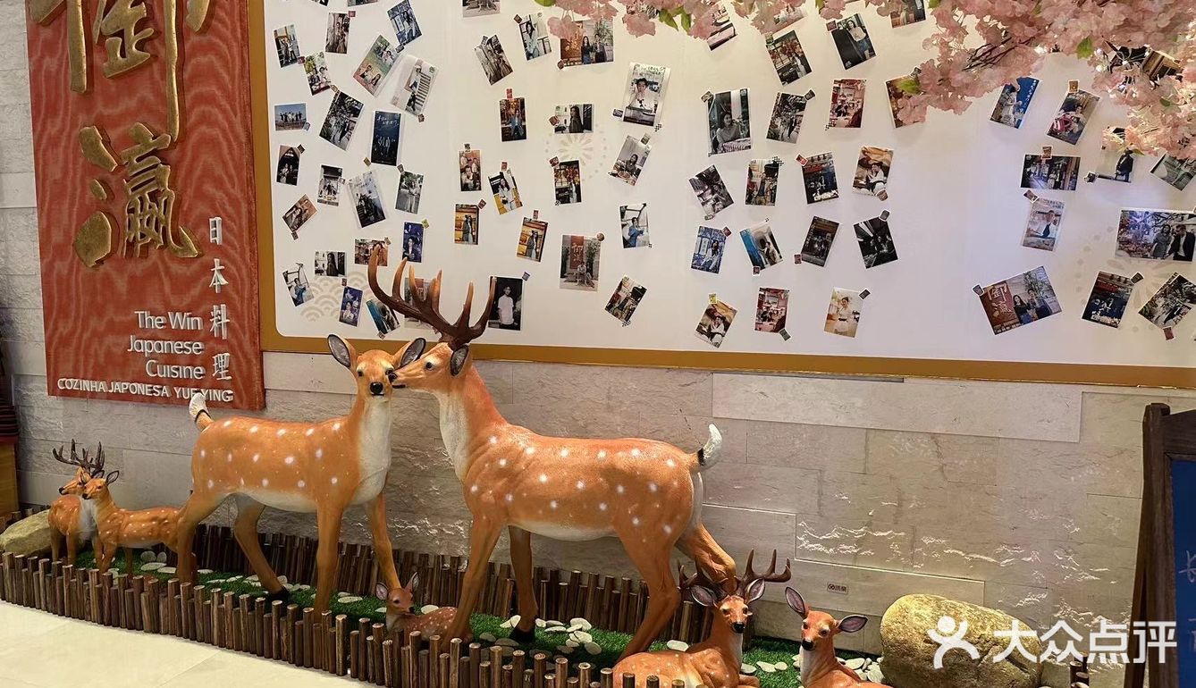 澳门超高性价比日料店推荐[胜利][胜利]