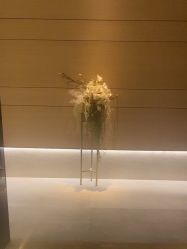 -恒美雅轩·品牌直营连锁