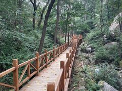 -大岭沟猕猴桃谷风景区