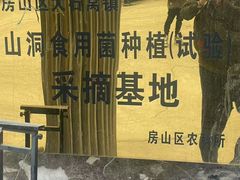 -仙蘑洞