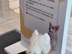 -武汉光谷K11