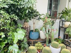 -溪岸路花鸟市场