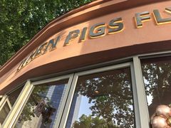 -WHEN PIGS FLY当猪飞