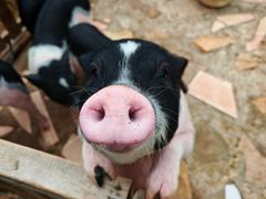 -HERRE·FARM 赫尔露营农场·团建聚会包场