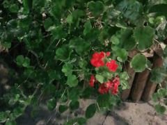 -泸州唯逸酒店(大山坪警察学院店)