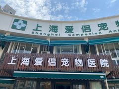 -爱侣宠医·鹦鹉专科·小型哺乳类·异宠专科(灵石路店)