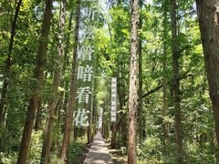 -同里国家湿地公园
