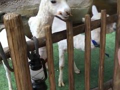 -杭州开元森泊度假乐园