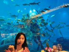 -海棠湾洲际-涛·海底餐厅·美人鱼·自助餐·海底隧道