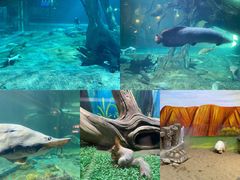 -华夏文旅海洋公园