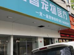 -守诺宠物医院·眼科· 特色牙科·异宠专科(虹口店)
