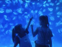 -多彩贵州城极地海洋世界