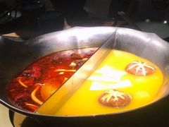 红颜花胶鸡锅-湊湊火锅·茶憩(石家庄万象城店)