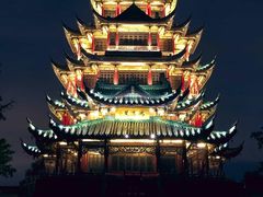-肥佬夜茶(早茶·西乡店)