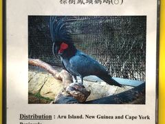 -九龙公园