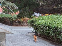 -大钟寺古钟博物馆