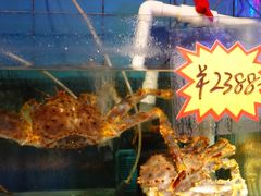 -辉记炭烧海鲜大排档·老字号(福田店)