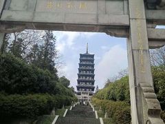 -宜兴龙背山森林公园