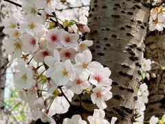 -白塘生态植物园