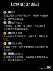 -凡碧诗毛孔清洁收细