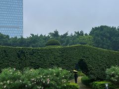 -南宁南湖公园