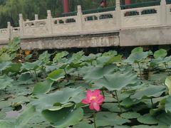 -南戴河国际娱乐中心