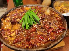 砂锅油泼毛血旺-罗妈砂锅(四川成都奎星楼店)