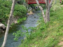 -羊山湖公园