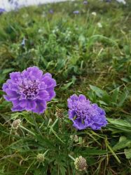 -Oasis Beauty水磨坊科技美肤中心