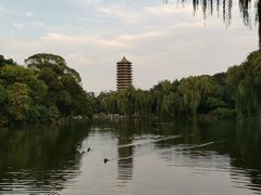 -北京大学百年讲堂