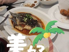 豆豉蒸鲟龙鱼-万龙洲海鲜(大兴绿地缤纷城店)